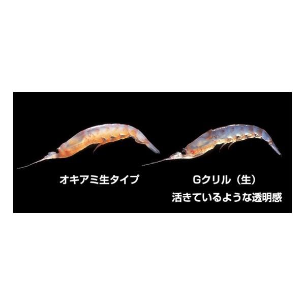 浜市 Gグリル Wパック 生 L クール便 爆買 : フィッシングマックス