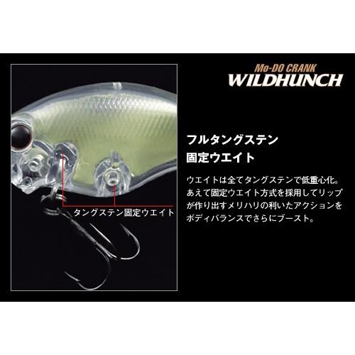 EverGreen（エバーグリーン） ワイルドハンチ8フッター #270スケルトン