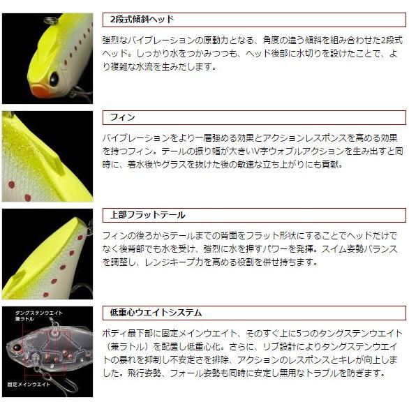 EverGreen（エバーグリーン） ジータ モリゾーSUN 爆買 : フィッシング