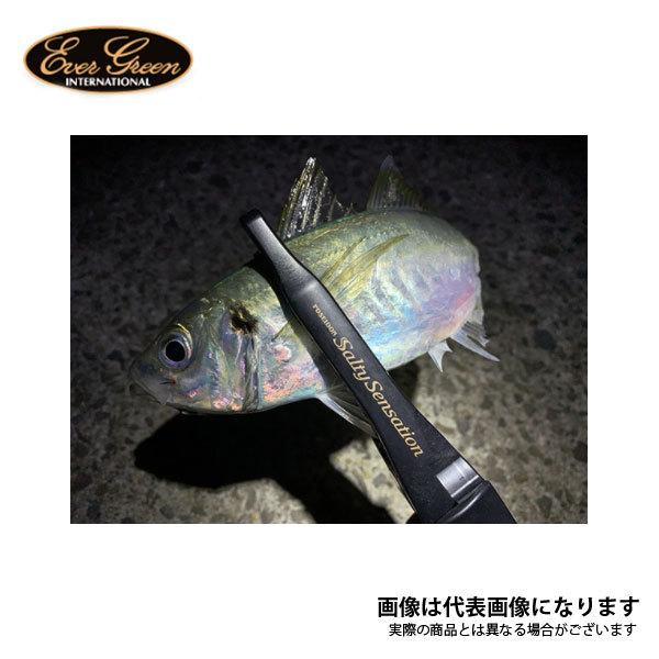 EverGreen（エバーグリーン） ソルティセンセーション キャプチャー