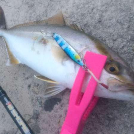 AZZURRO アズーロ プレストII 30g イワシ メタルジグ ジグ 爆買