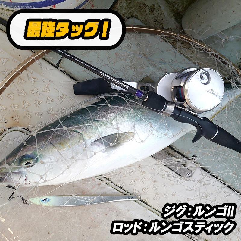 アズーロ ルンゴII 220g タテホロシルバーGH オフショア ジグ
