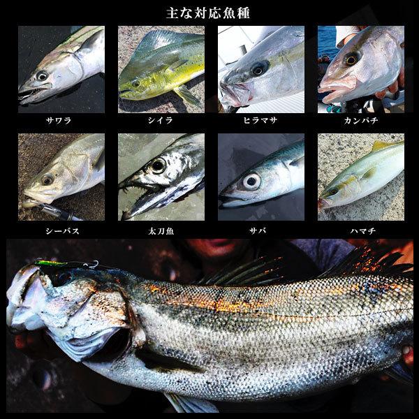 AZZURRO（アズーロ） 徹湾メタルバイブレーションII 26g マイワシ