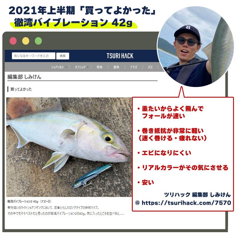 AZZURRO（アズーロ） 徹湾メタルバイブレーションII 42g マイワシ