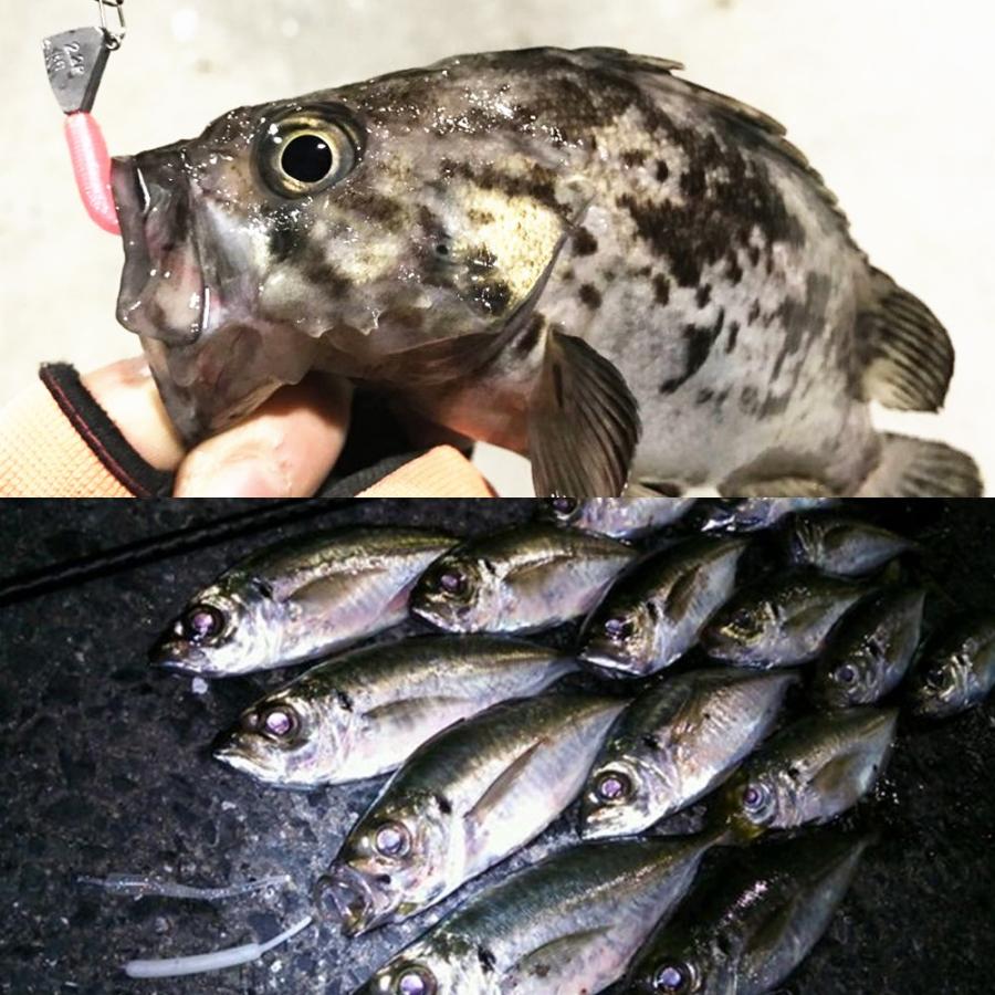 AZZURRO（アズーロ） 徹湾 ライトゲームワーム AZW-C C001＃徹湾