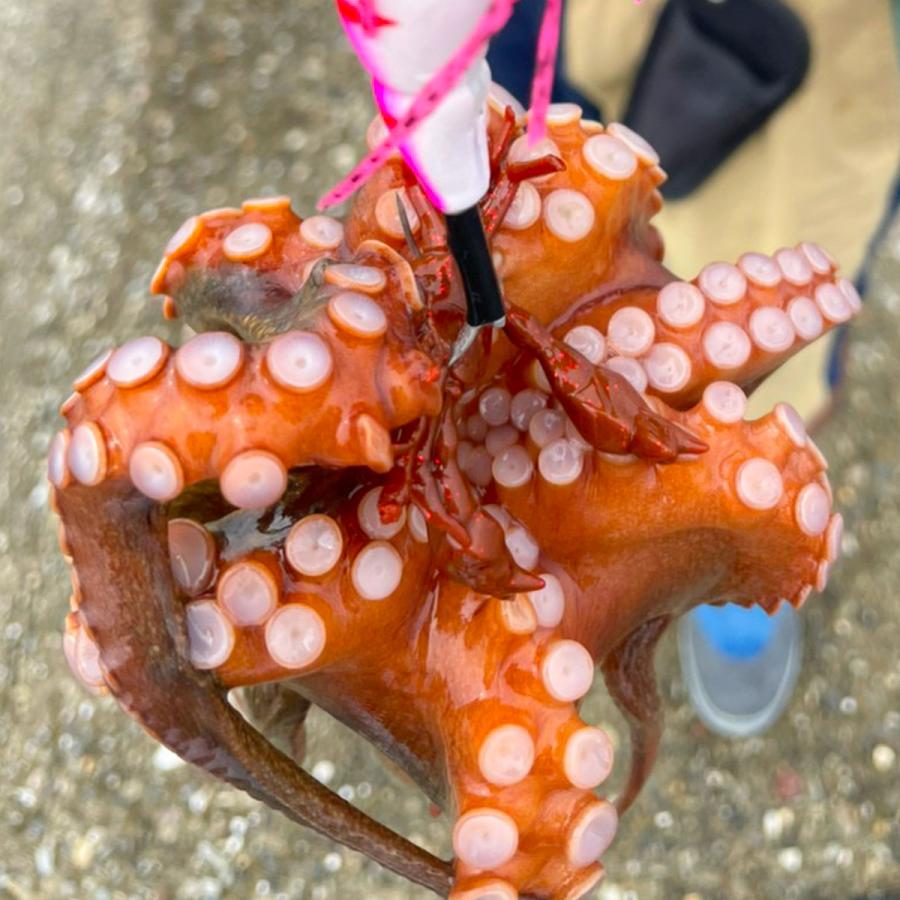 アズーロ 徹湾 ライトゲームワーム AZW-M オレンジ/ゴールドラメ