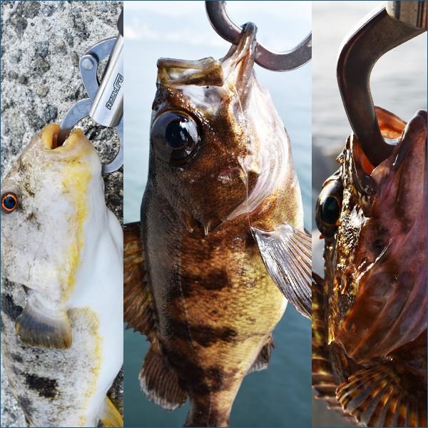 AZZURRO（アズーロ） AZ フィッシュグリッパー SSサイズ フィッシュ