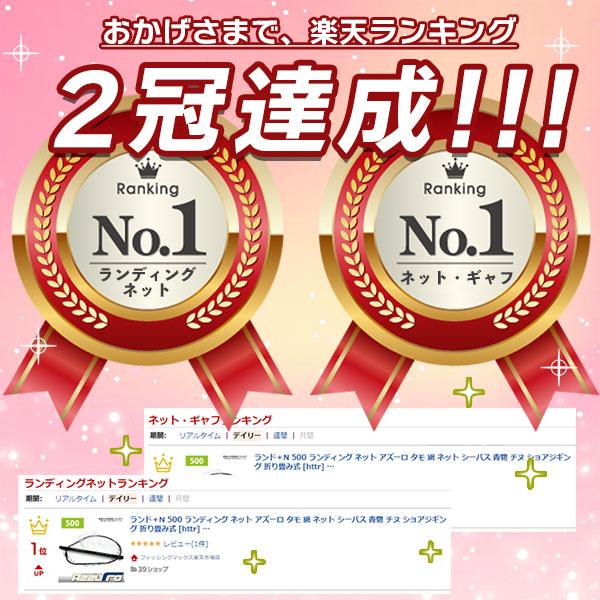 アズーロ ランド+N II 600 ランディングネット 釣り タモ 網 玉 アズーロ ランド+N II 600 ランディングネット 釣り タモ 網 玉