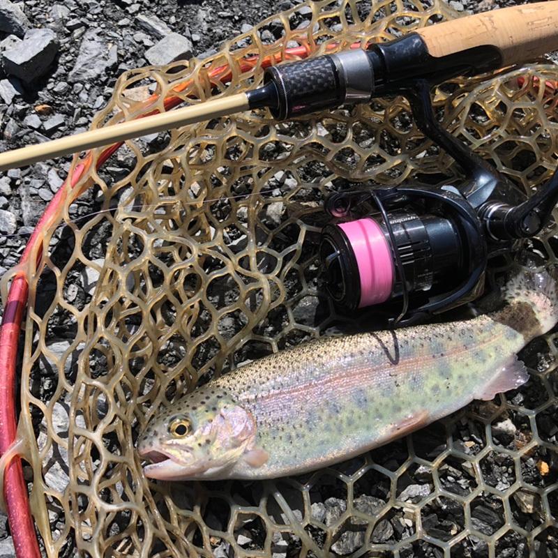 AZZURRO（アズーロ） NANDEMO ROD ( ナンデモロッド ) SHORT S634L 