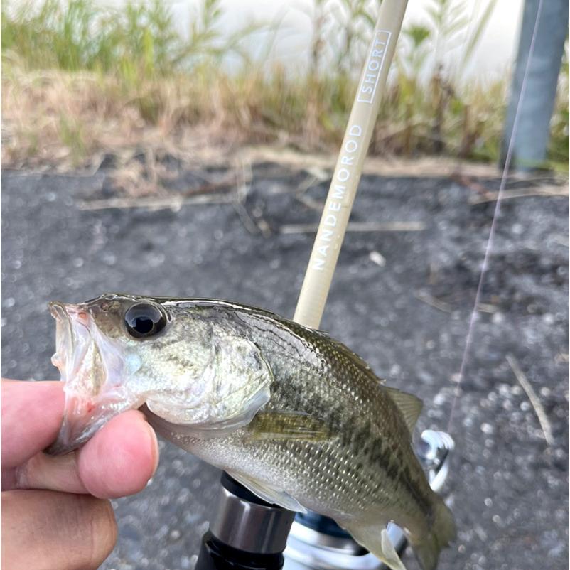 AZZURRO（アズーロ） NANDEMO ROD ( ナンデモロッド ) SHORT S634L 