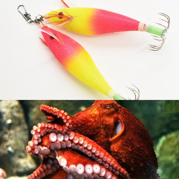 ブルーマーレ タコエギ チャート×ピンク スッテ タコ 仕掛け 釣り 船