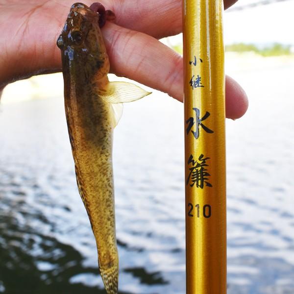ブルーマーレ 小継 水簾 すいれん 180 小継万能振り出し竿 フナ