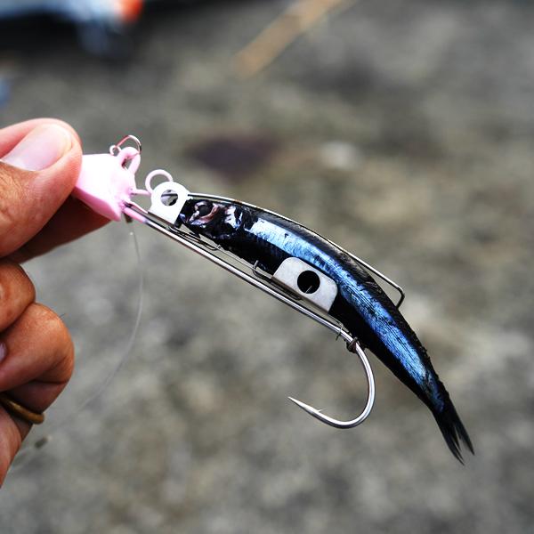 フィッシングマックスオリジナル 紫キビナゴ Kibi タチウオ エサ ウキ釣り テンヤ 波止釣り 太刀魚 餌 クール便 フィッシングマックス 通販 Yahoo ショッピング