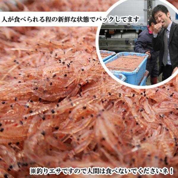 フィッシングマックスオリジナル 冷凍 チューブアミエビ （釣れる！アジマックス配合） 内容量約1kg サビキ釣り エサ アミエビ 釣りエサ クール便｜fishingmax-webshop｜02