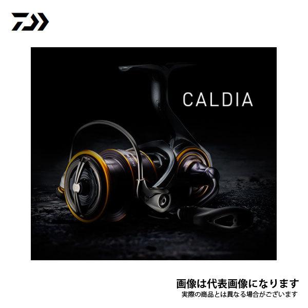 ダイワ カルディア FC LT2500S 2021新製品 リール スピニングリール 釣り