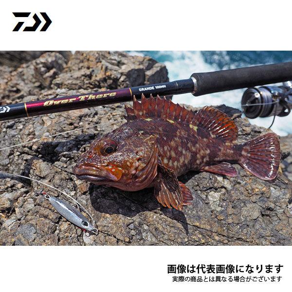 DAIWA(釣り) ダイワ オーバーゼア グランデ 100M 2021新製品 DAIWA(釣り) ダイワ オーバーゼア グランデ 100M 2021新製品