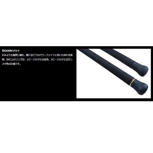 DAIWA(釣り) ダイワ オーバーゼア グランデ 100M 2021新製品 DAIWA(釣り) ダイワ オーバーゼア グランデ 100M 2021新製品