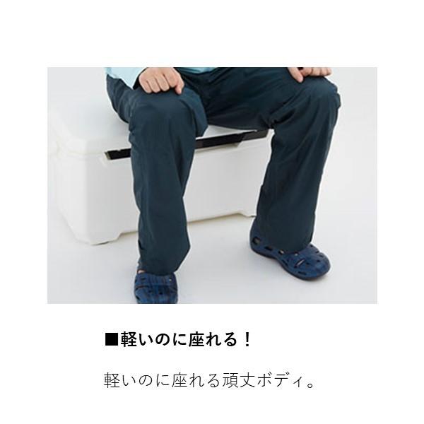 ダイワ(DAIWA) クーラーボックス ライトトランクΑ GU2400 ブルー 釣り 24リットル DAIWA（ダイワ） ライトトランク アルファ GU2400 ブルー クーラー