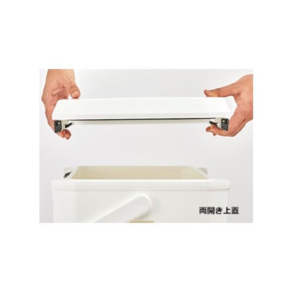 DAIWA（ダイワ） ライトトランク アルファ GU2400 ブルー クーラー