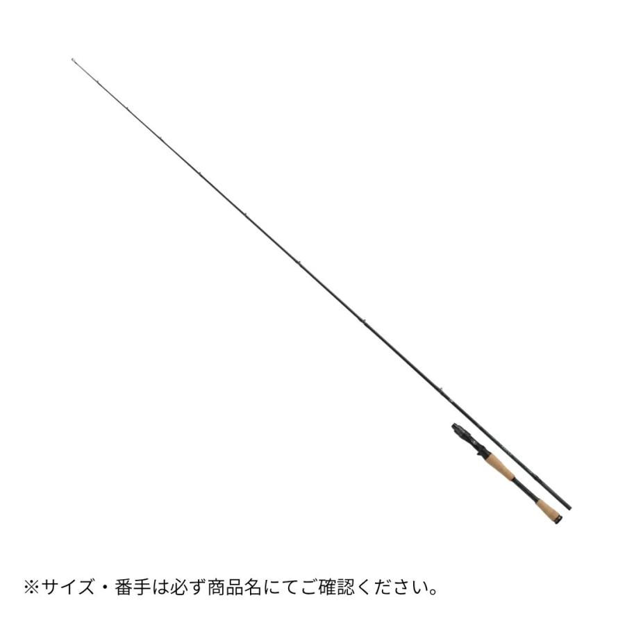 DAIWA（ダイワ） 25 タトゥーラ 641LFB-BF 大型便C 2025年新製品