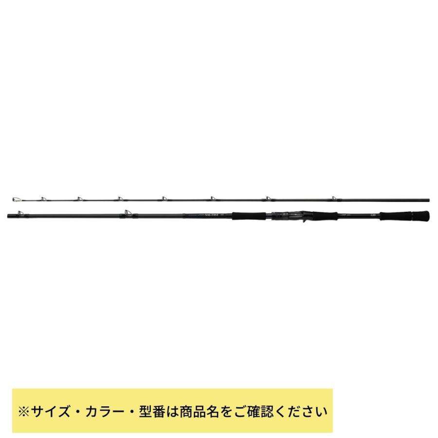 DAIWA（ダイワ） ソルティスト 96MHB 大型便B 2024年新製品 爆買