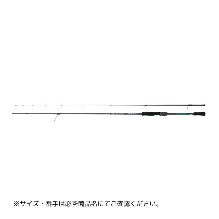 DAIWA（ダイワ） 25 エメラルダス X 79L-S・J 大型便A 爆買
