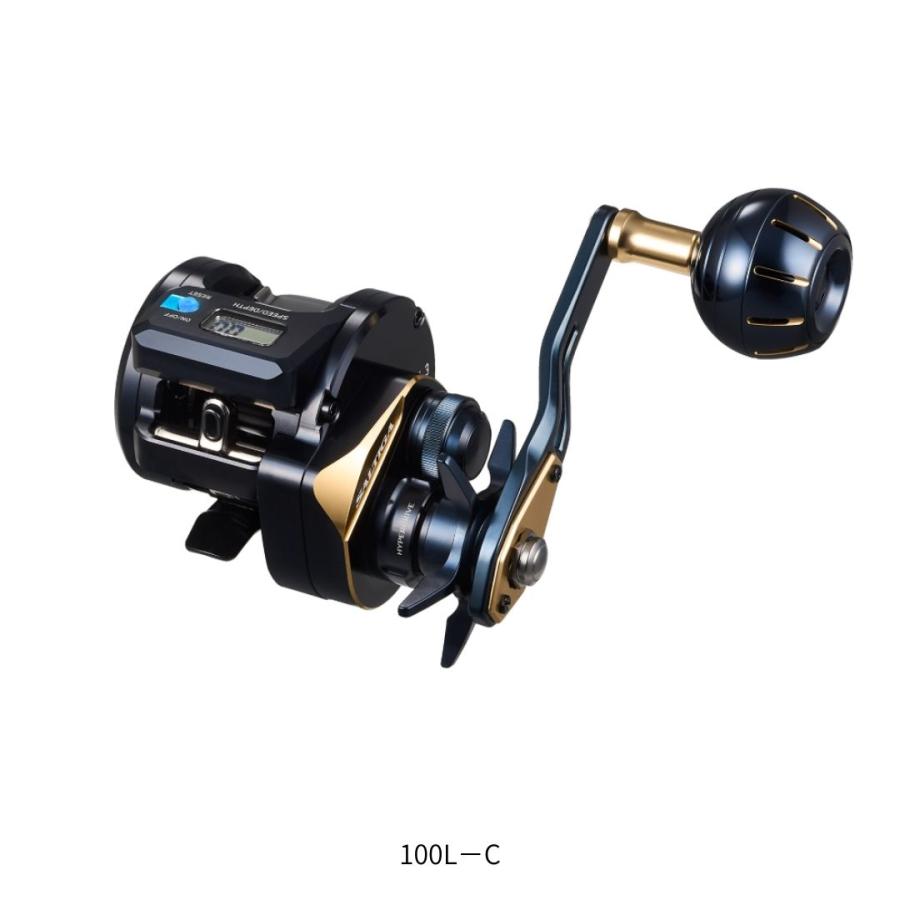 DAIWA（ダイワ） 25 ソルティガIC 100L-C 2026年新製品 : フィッシング