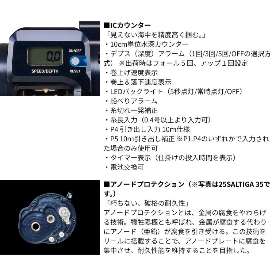 DAIWA（ダイワ） 25 ソルティガIC 100L-C 2026年新製品 : フィッシング