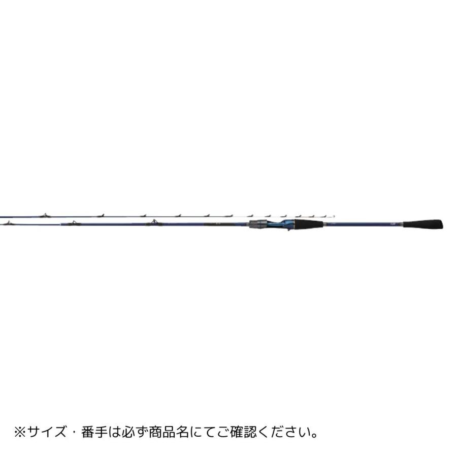 DAIWA（ダイワ） 25 極鋭 LG #73MH-185 大型便B 2025年新製品 爆買