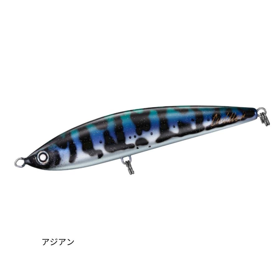 DAIWA(釣り) ソルティガ カドラー 185F アジアン DAIWA DAIWA(釣り) ソルティガ カドラー 185F アジアン DAIWA