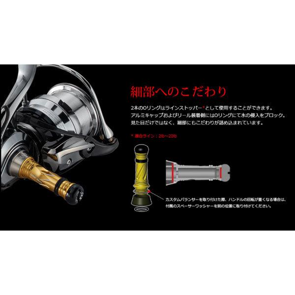 リブレ カスタムバランサー Type2 C2タイプ ガンメタ×レッド Custom