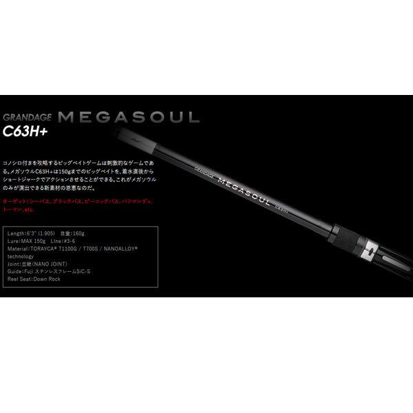 アピア GRANDAGE MEGASOUL C63H+ 大型便B 爆買 : フィッシングマックス