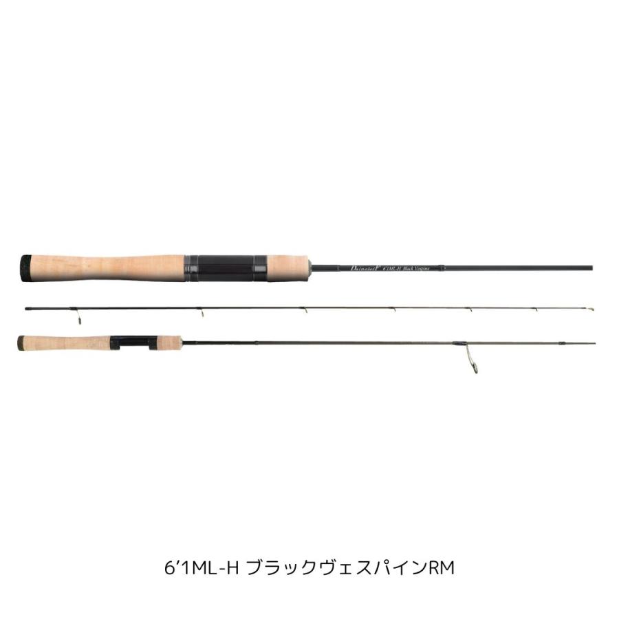 ValkeIN（ヴァルケイン） ダーインスレイヴ 6'1ML-H ブラックヴェスパ