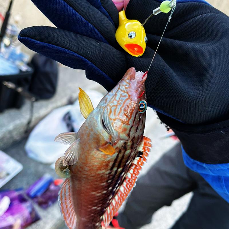 ささめ針 謎のあんこう ANK01 #107 ピヨコイエロー 爆買