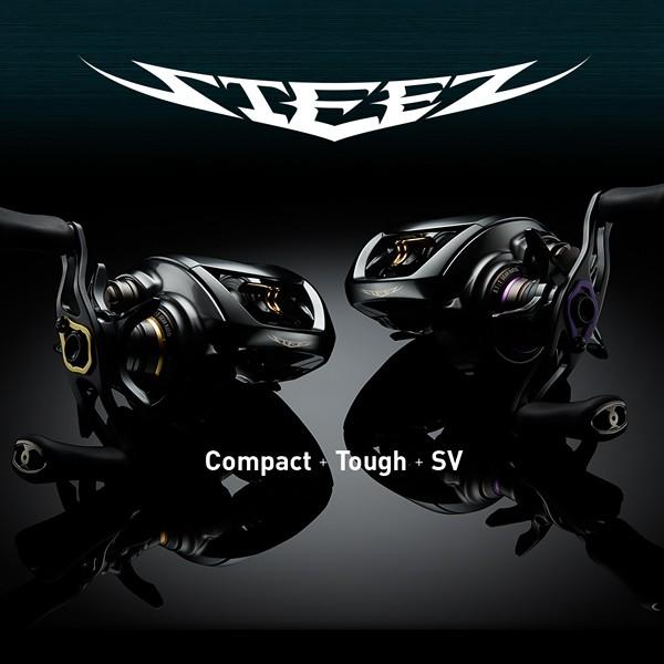 DAIWA（ダイワ） 19 スティーズ CT SV TW 700H リール ベイトリール