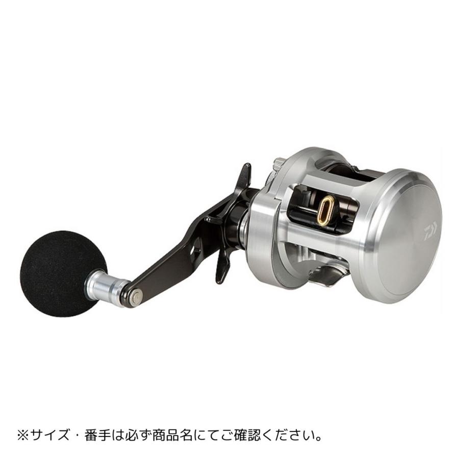 DAIWA（ダイワ） 15 キャタリナ BJ 200SHL 爆買 : フィッシング