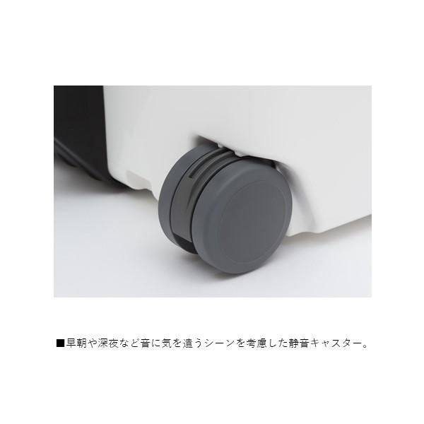 DAIWA(釣り) ダイワ シークールキャリー2 S2500 ホワイト DAIWA(釣り) ダイワ シークールキャリー2 S2500 ホワイト