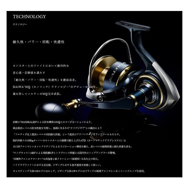 DAIWA（釣り） ダイワ ソルティガ 14000-XH 2020年新製品 リール