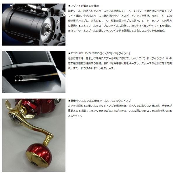 DAIWA（ダイワ） シーボーグ 300MJ 右ハンドル ライン無し 2020年新
