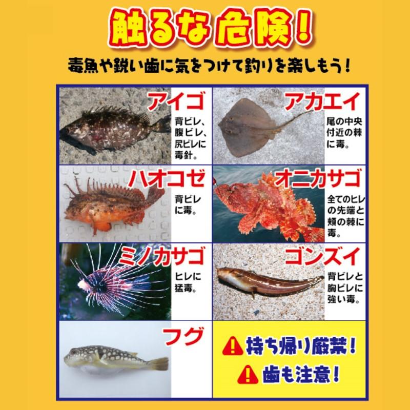 ロッドリール100日保証付き! ちょい投げスタートセット 子供用 ロッドリール100日保証付き! ちょい投げスタートセット 子供用
