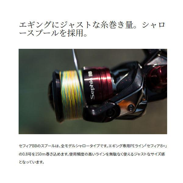 ティップエギングセット セフィアBB S66M-S セフィアBB C3000S DHHG