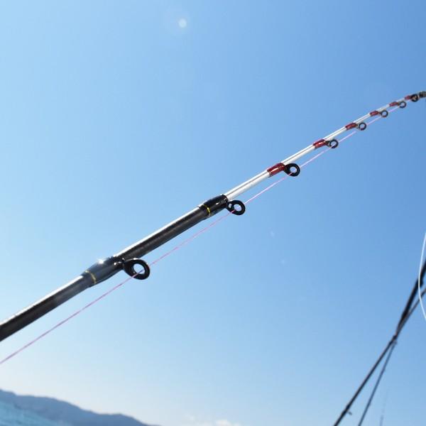 シマノ（SHIMANO） サーベルマスター エクスチューン テンヤ 73M190R