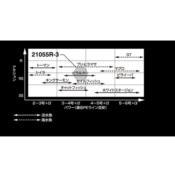 シマノ - 20ワールドシャウラ BG 21055R-3 大型便B 爆買