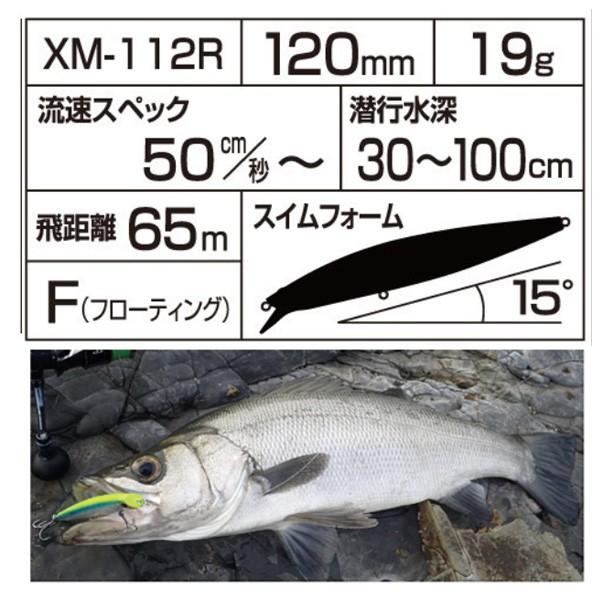 シマノ サイレントアサシン AR-C 120F XM-112R レンズグリーン シマノ サイレントアサシン AR-C 120F XM-112R レンズグリーン