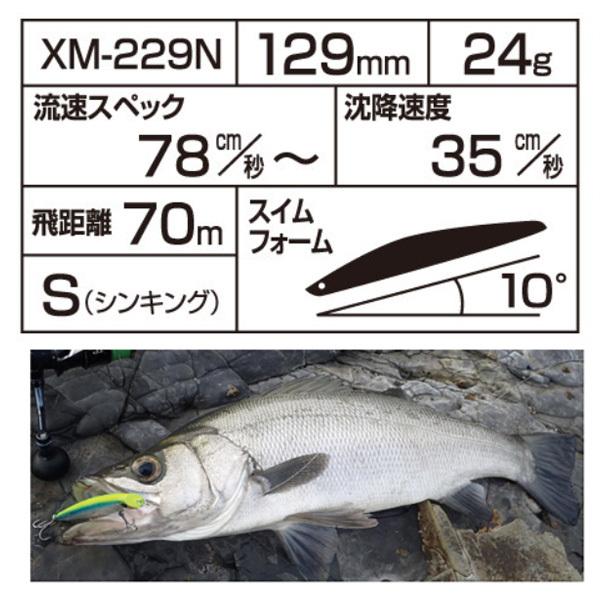 シマノ サイレントアサシン129S AR-C XM-229N キョウリンGS｜fishingmax-webshop｜03