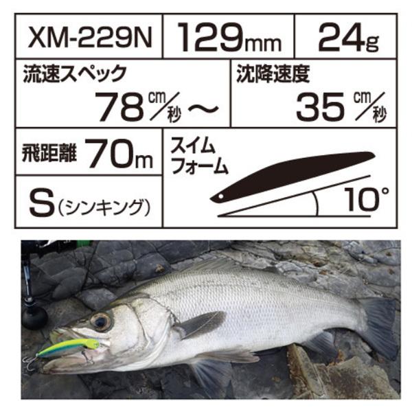 シマノ（SHIMANO） サイレントアサシン129S AR-C XM-229N キョウリン