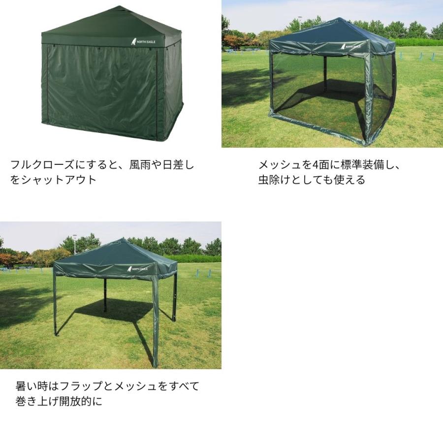 North Eagle（ノースイーグル） フルクローズキャノピー250 GR NORTH