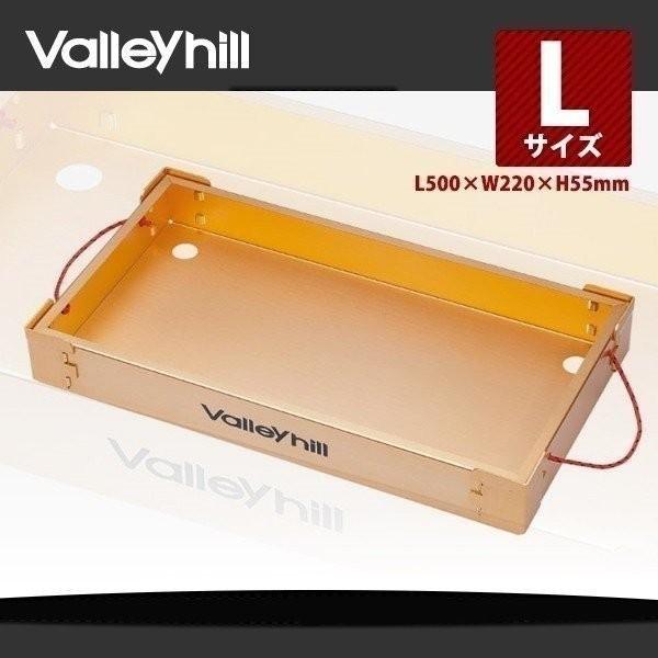 Valleyhill バレーヒル スクイッドキーパーDX Lシャンパン Valleyhill バレーヒル スクイッドキーパーDX Lシャンパン