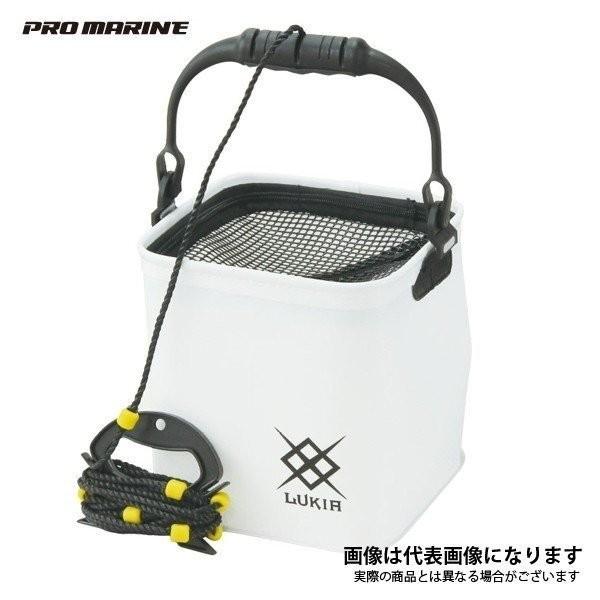 浜田商会 Eva活かし水汲みバケツ Aea522 18cm わかさぎ バッカン バケツ フィッシングマックス 通販 Paypayモール