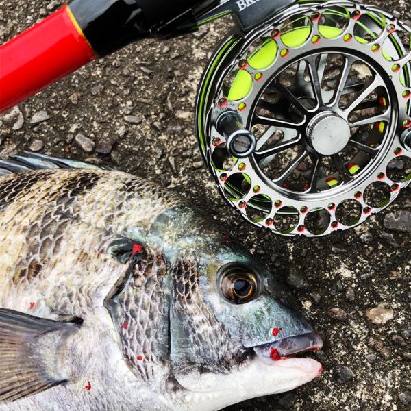 バトルフィールド黒鯛 BK 90NR プロマリン ドラグ無し ヘチ釣り チヌ リール 黒鯛 落とし込み｜fishingmax-webshop｜07